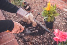 Easy Ways of Getting Started in the Garden