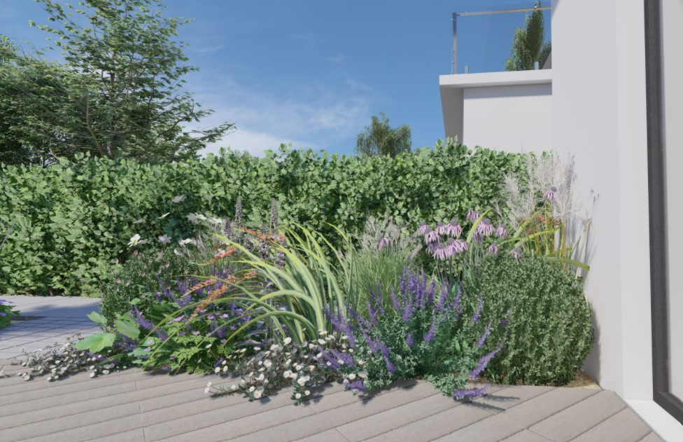 The Coastal Garden Bloom 2022, Shrubs For Coastal Gardens Ireland