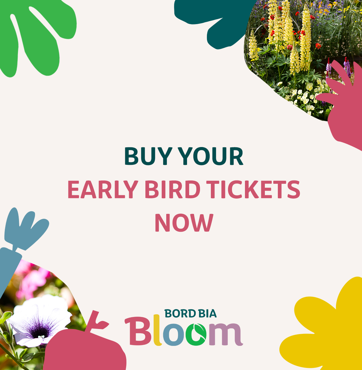 Ticket Prices Plan Your Day Bord Bia Bloom