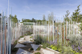 The Raising Amazing Garden by Tusla Fostering